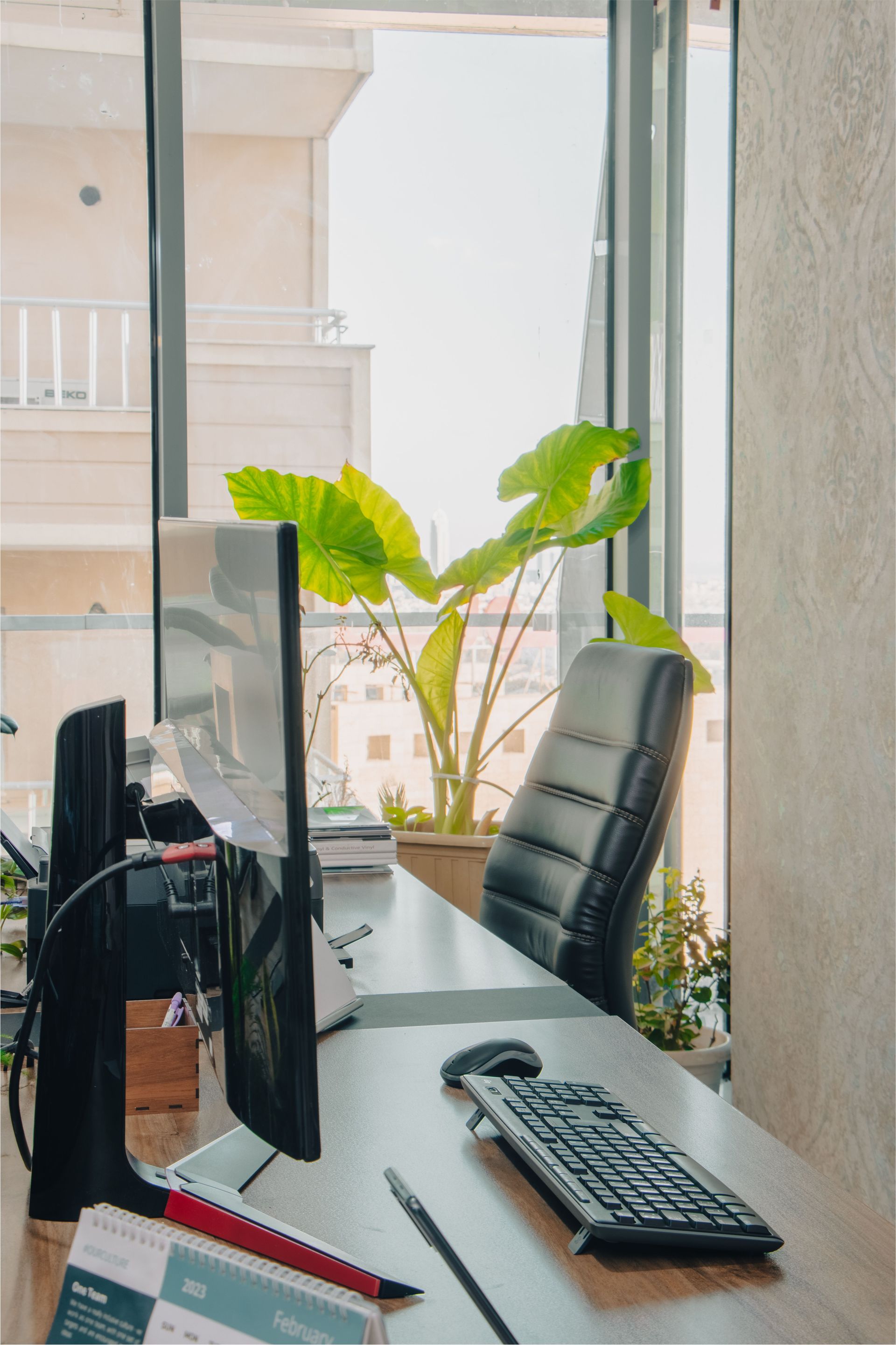 Bright office space with desk, computer, and plant by a large window. Perfect blend of work and nature.